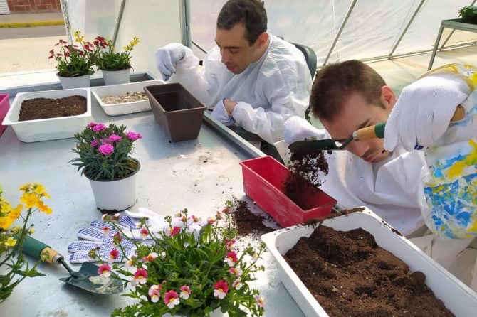 Fundación Ibercaja financia unos talleres de jardinería, horticultura y educación medioambiental para chicos/as con parálisis cerebral