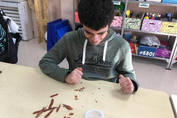 ASPACE Jaén colabora con Macrosad en la plantación de 10.000 árboles